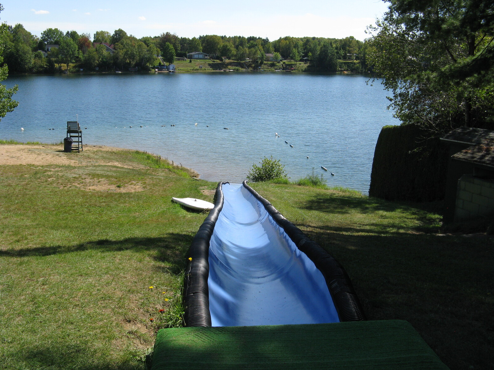 Gervaisie4